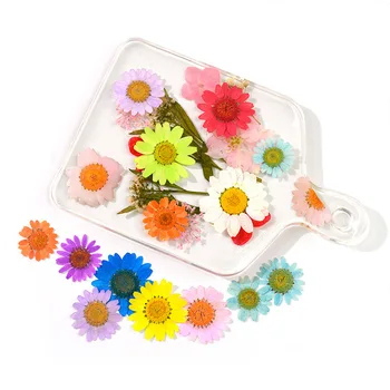 1 Paket Sušeni Cvijet Suhe Biljke Za Aromaterapiju Svijeća Epoksidna Smola, Privjesak Ogrlica Izrada Nakita Zanat DIY Pribor